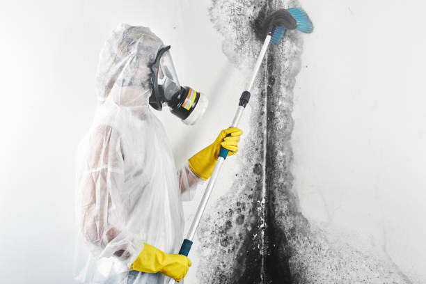 Best Mold Remediation for Healthcare Facilities  in Cross Plains, TN