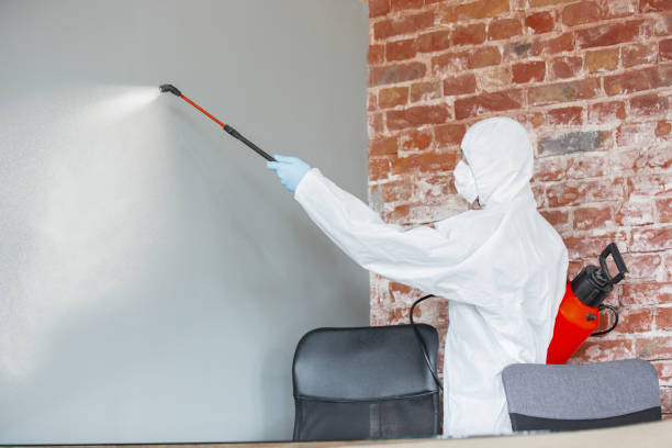 Best Real Estate Mold Inspection  in Cross Plains, TN