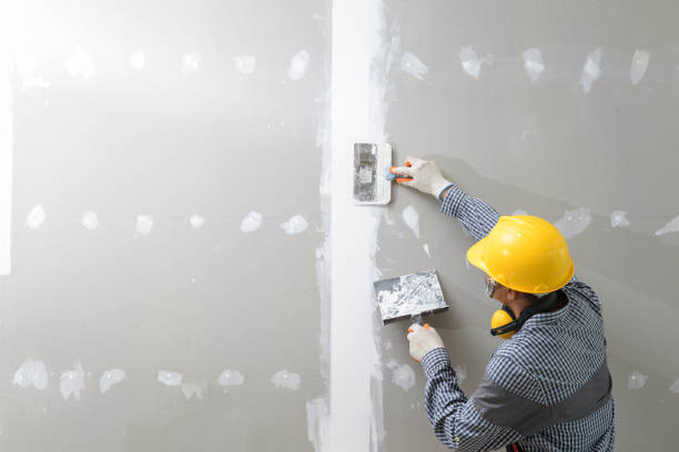 Best Mold Removal for HVAC Installations  in Cross Plains, TN