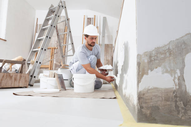 Best Mold Documentation for Insurance Claims  in Cross Plains, TN