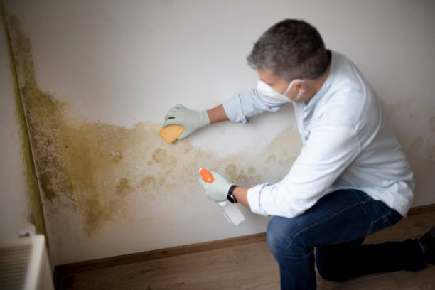 Best Industrial Mold Remediation  in Cross Plains, TN