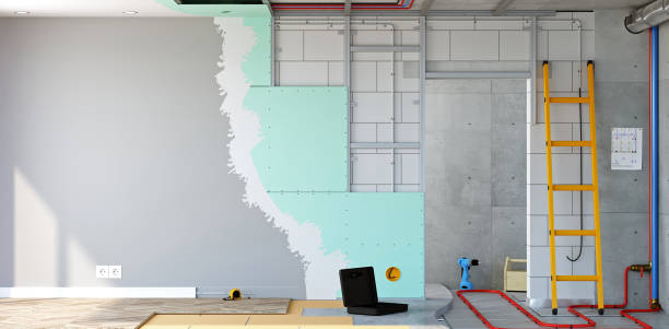 Best Asbestos and Lead Testing During Mold Inspection  in Cross Plains, TN
