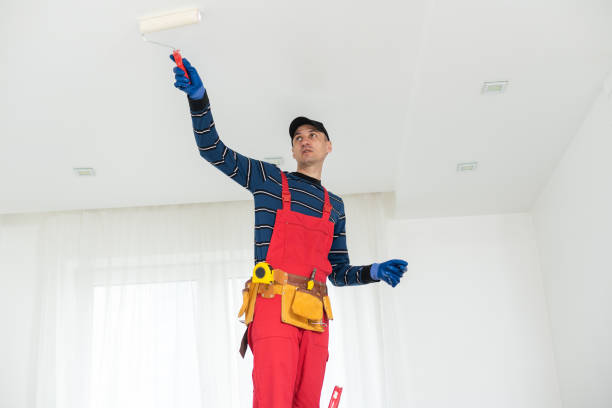 Best Basement Mold Removal  in Cross Plains, TN
