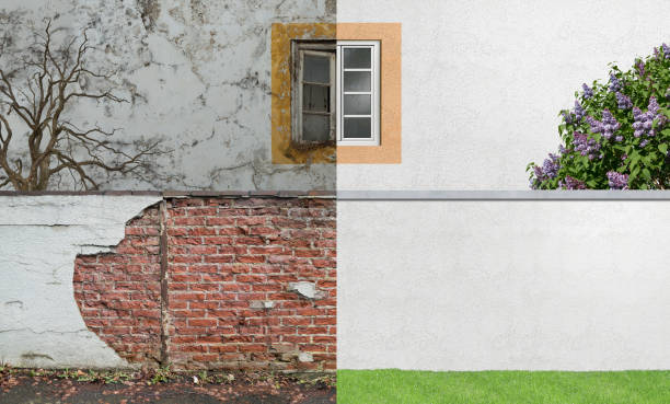 Best Mold Prevention Services  in Cross Plains, TN