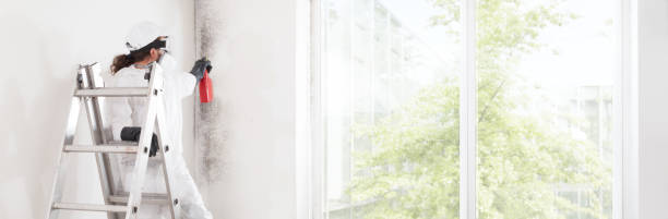 Cross Plains, TN Mold Removal Company